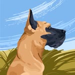 Ayşe