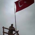 Şahin