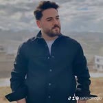 Şahin