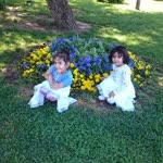 Tayfun