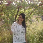 Birgül