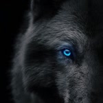 Kadir