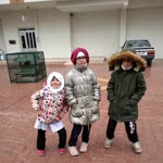 Safiye