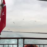 Emel