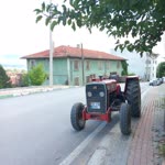 Begüm