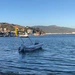 Erdal