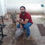 Vet.hekim