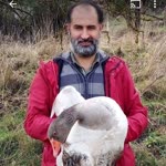 Güven