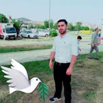 Özgür