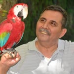 Haluk