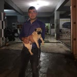 Burak