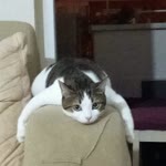 Sevda