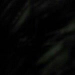 Alper