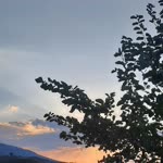 Resıme