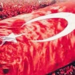 Hfız