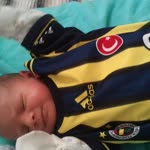 Alpay