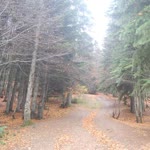 Ebubekir
