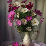 Dilek