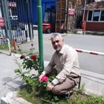 Halil