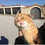 Selin