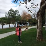 Aysun