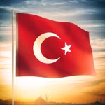 Ayşegül