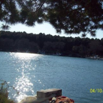 Dilek