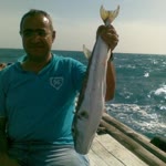 Aydin