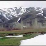 Erdal