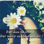 Elif