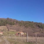 Reyhan