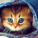 Ebru