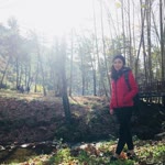 Saliha