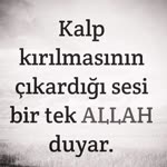 Rabia