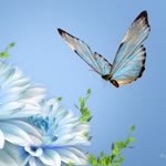 Filiz