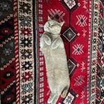 Songül