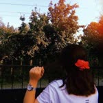 Özlem