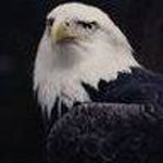 Serkan