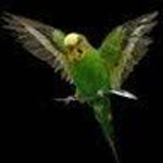 Ugur