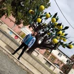 Mahmut