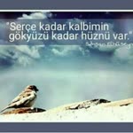 Gülcan
