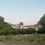 Doğan