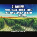 Murat