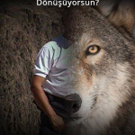 Hasan