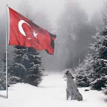 Abdül