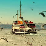 Tugce