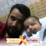 Vedat