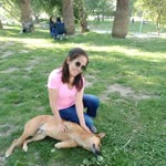 Tc Meryem