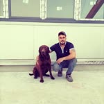 Şeref