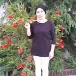Ayse